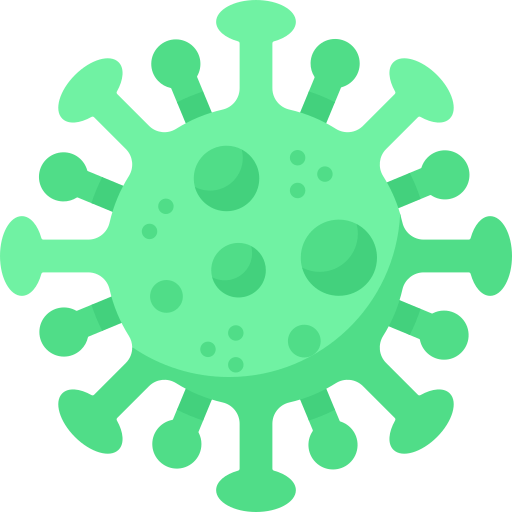 WordPress maintenance Plans
